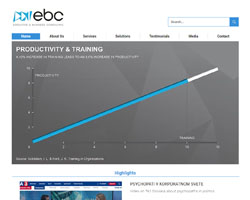 Executive Business Consulting